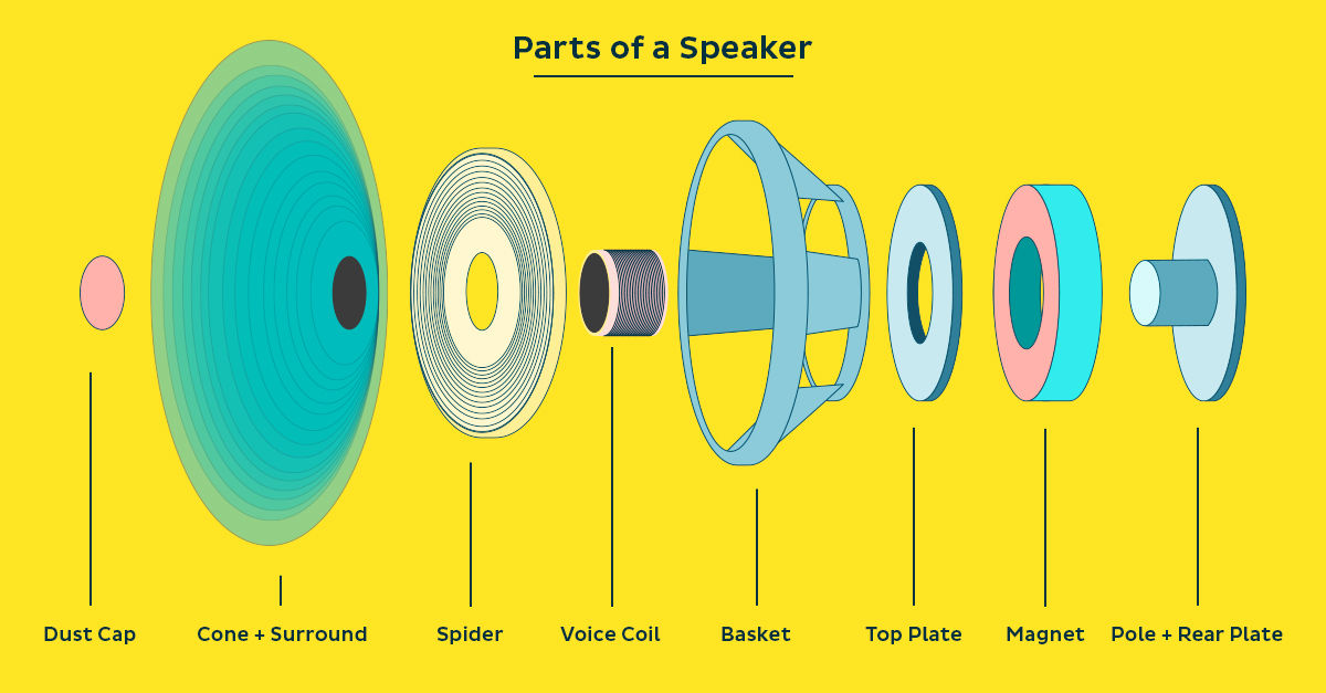 How Do Speakers Work: Understanding Audio Reproduction [Infographic ...